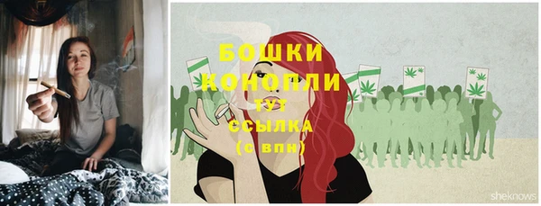 молекула духа Баксан