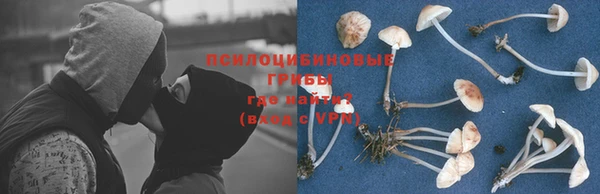 молекула духа Баксан