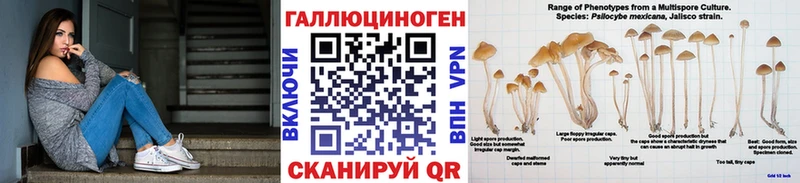 Псилоцибиновые грибы Cubensis  omg ССЫЛКА  Красный Холм  что такое наркотик 